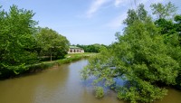 Lake with grasses and trees around