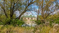Building visible through tree branches; flowering shrubs in foreground