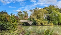 Footbridge across lake with lush trees on either end