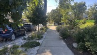 Sidewalk with plants and trees on either side