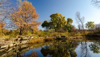 Pond with stone border with shrubs and grass around it. Trees in the background.