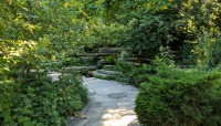 Winding path with lush plantings on either side