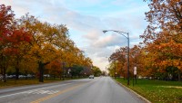Boulevard flanked by autumnal trees