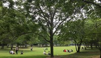 Broad lawn with trees and people sitting