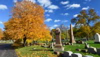 Grave markers on the right; tree and path on the left