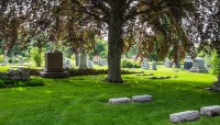 Grave markers under the shade of a tree