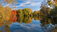 Pond bordered by autumnal trees