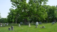 Grave markers in foreground, trees in background