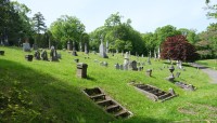 Grave markers on small hill with trees in background