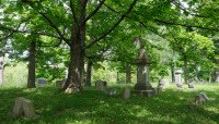 Cluster of trees, small grave markers surrounding
