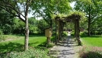 Path through a grapevine arbor