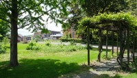 Grapevine arbor on the right; lawn to the left with buildings in distance
