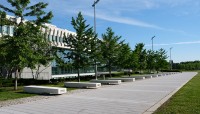 Path with benches and trees on the left