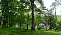 House and small cottage surrounded by grove of trees