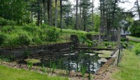 Small swimming pool with stone border, sloping hill to the left and trees in background