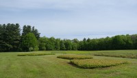 Broad field with three raised beds; trees in the background