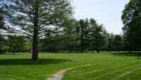 Arcing path in a lawn; trees surround