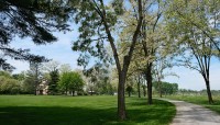 Curving path lined by trees; house in distance