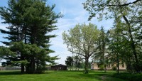 Clusters of trees on an expansive lawn; house visible through the trees