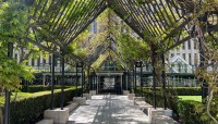 Arbor covered with wisteria