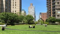 Lawn with circular path, buildings in background