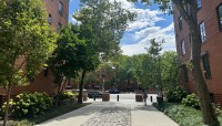 Wide, paved walkway lined by shrubs and trees with a brick building on either side