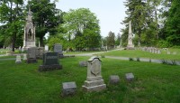 Grave markers in foreground, trees in background
