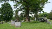 Tree in the center with grave markers around it