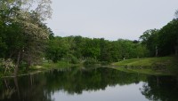 Large pond with trees surrounding its shore