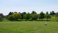 Person walks across broad lawn; trees in the background