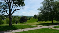 Intersecting pathways across the rolling lawn with trees