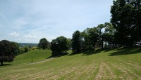 Sloping lawn with trees on right and in background