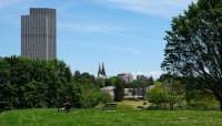Man sits on a bench on a hilltop looking over the city; tree on the right