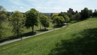 Row of trees on the left at the bottom of a sloping hill