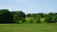 Broad, rolling lawn with trees