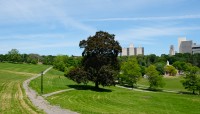 Curving pathways on the left beside some trees; buildings in distance