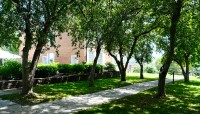 Flagstone walking path shaded by trees on either side
