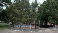 Sunken playground surrounded by trees