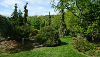 Stone steps lead to a garden feature; pathway through the trees