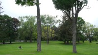 Expansive lawn with trees