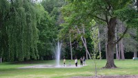 People frolic on splash pad; tree in foreground; trees in background