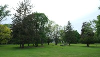 Expansive lawn with trees