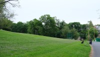 Woman and dog at bottom of sloping lawn; trees in background