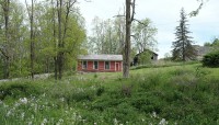 Wildflowers in foreground; wood building and trees in distance