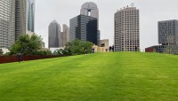 Sloping lawn with buildings in the background