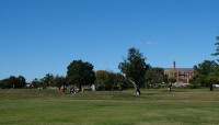 Golfers and golf cart on course; trees in center and background