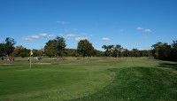 Golfers and golf cart on course; trees in center and background