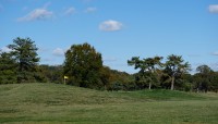 Golfers and golf cart on course; trees in center and background