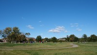 Golfers and golf cart on course; trees in center and background