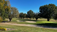 Golfers and golf cart on course; trees in center and background